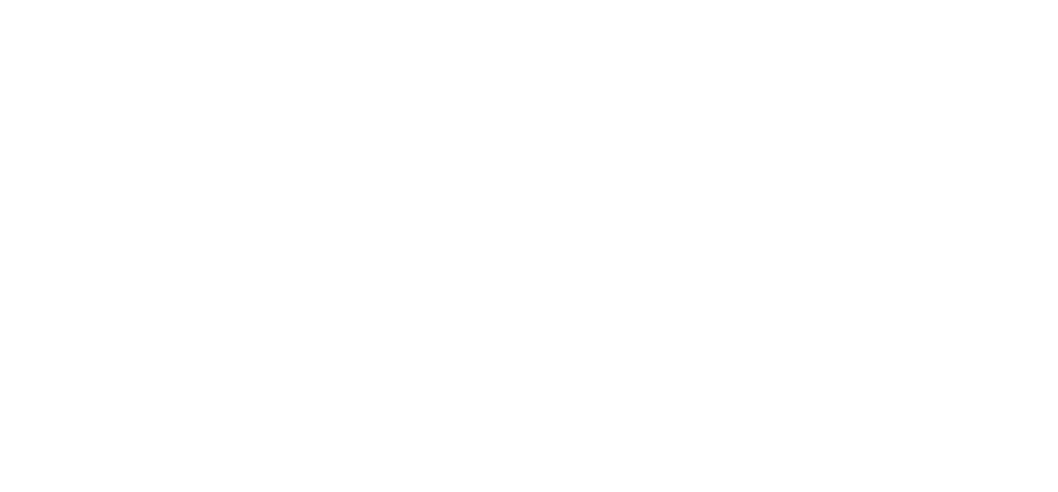 Team Solutionss Logo